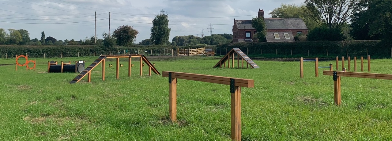 Dog agility playground by Lars Laj UK dog agility Lars Laj